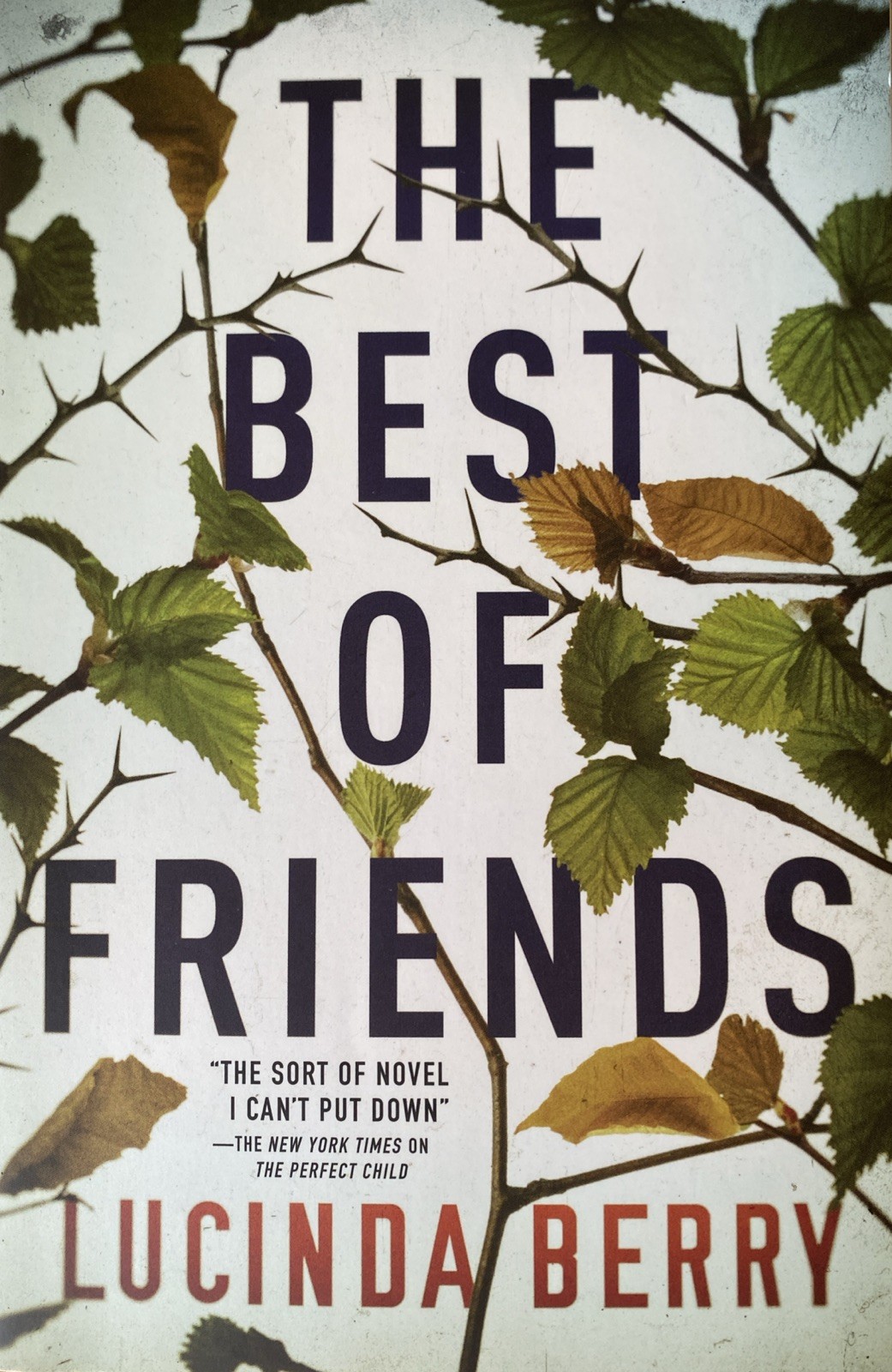 Best of Friends by Lucinda Berry (2020, Trade Paperback)