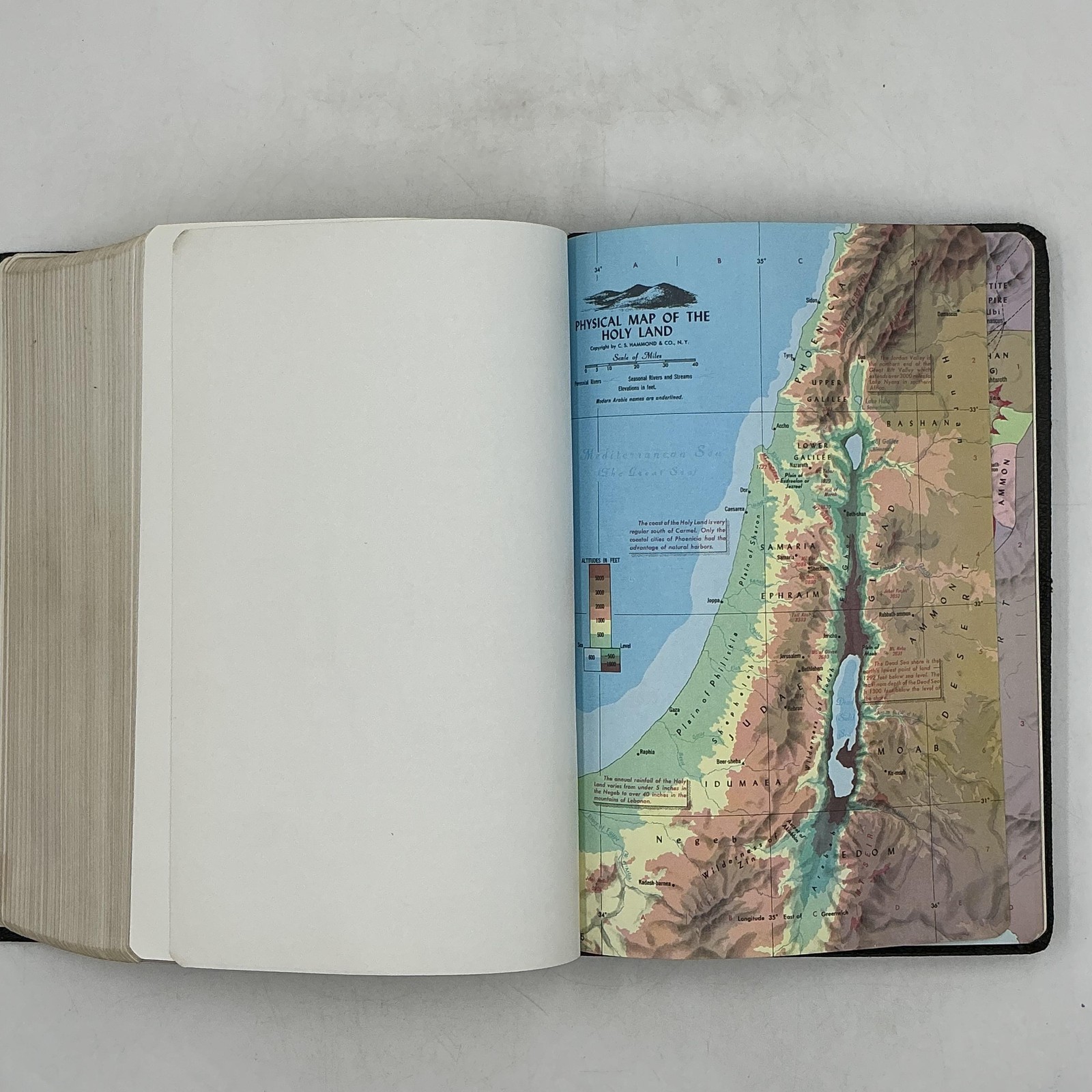 New American Standard Bible Reference Edition Lockman 1973 Morocco Leather