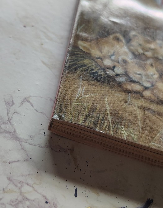 Magic Tree House # 11: Lions at Lunchtime by Mary Po Osborne