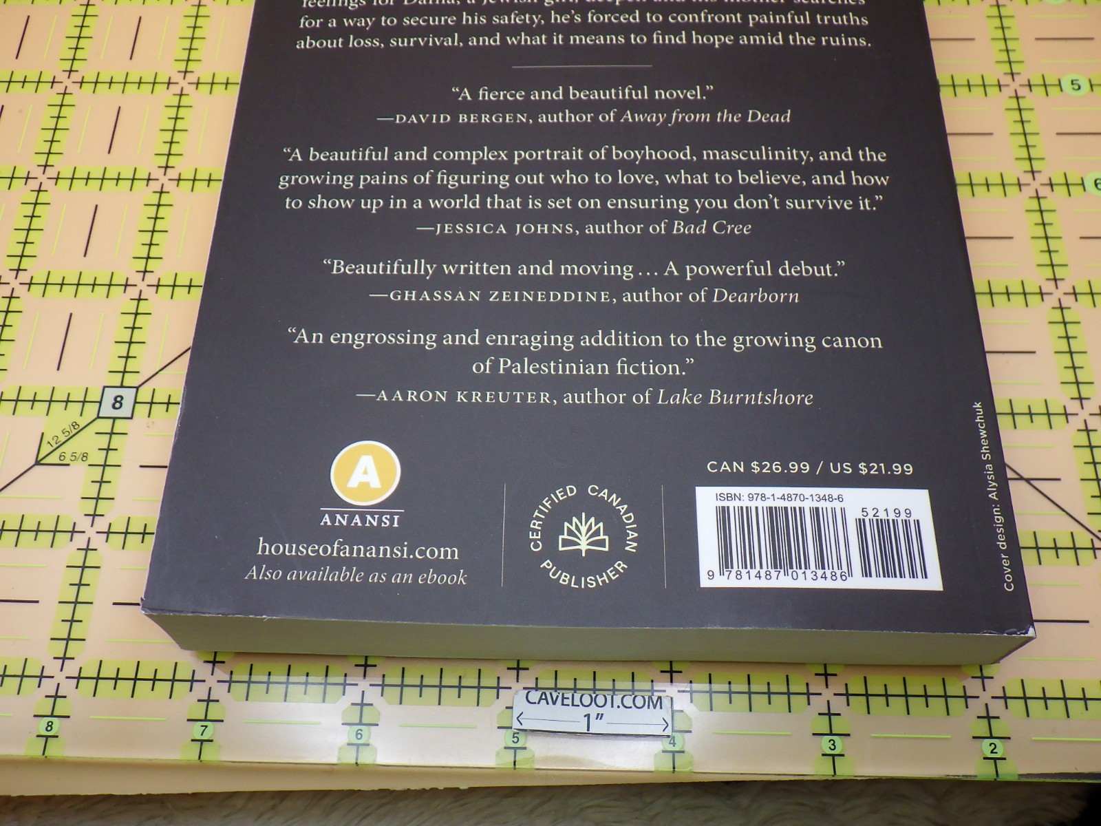 Seven Heavens Away by Ashraf Zaghal – Modern Palestinian Fiction Novel (2024)