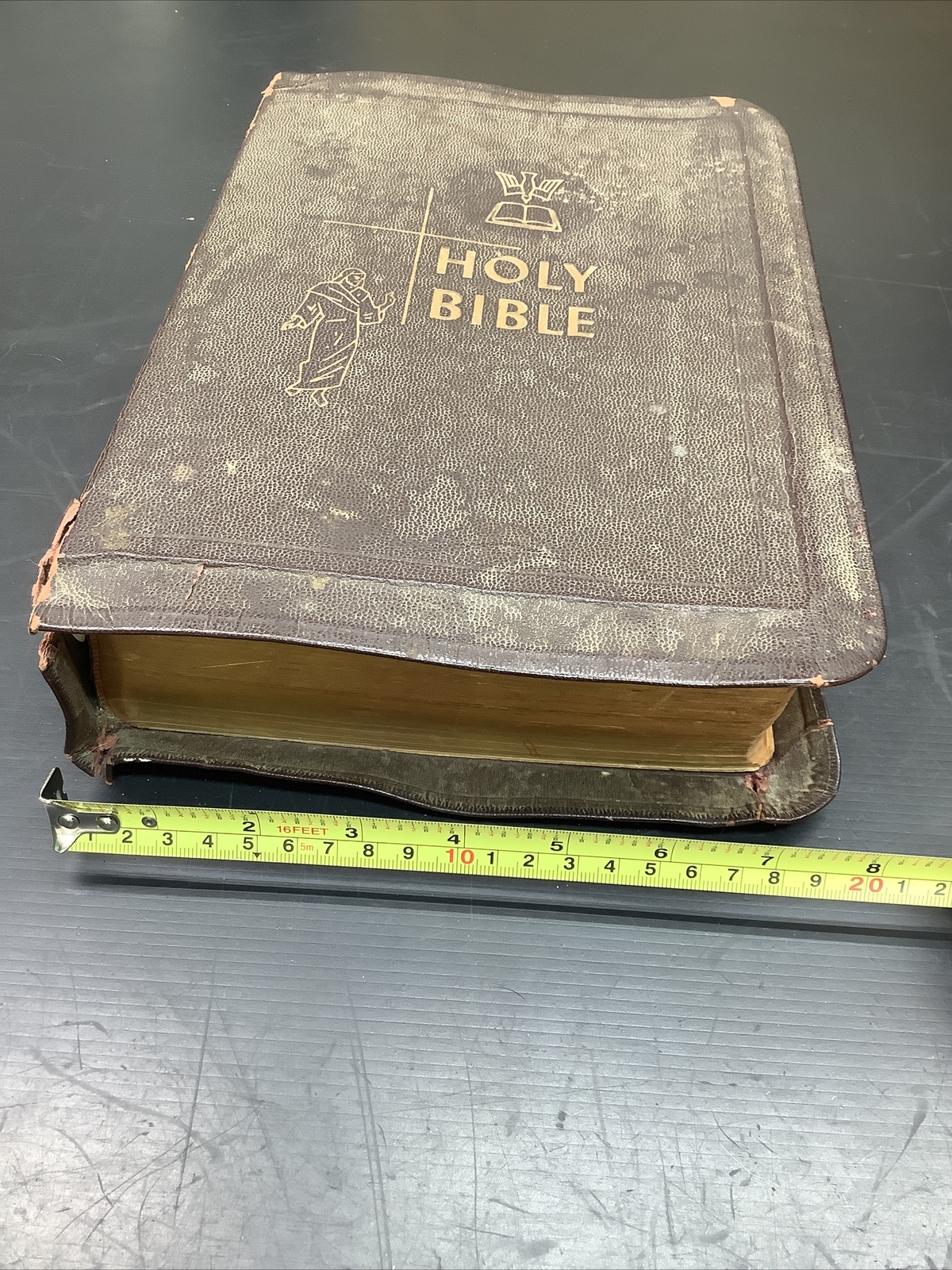The Catholic Press Family Edition of the Holy Bible 1950 John P O’Connell