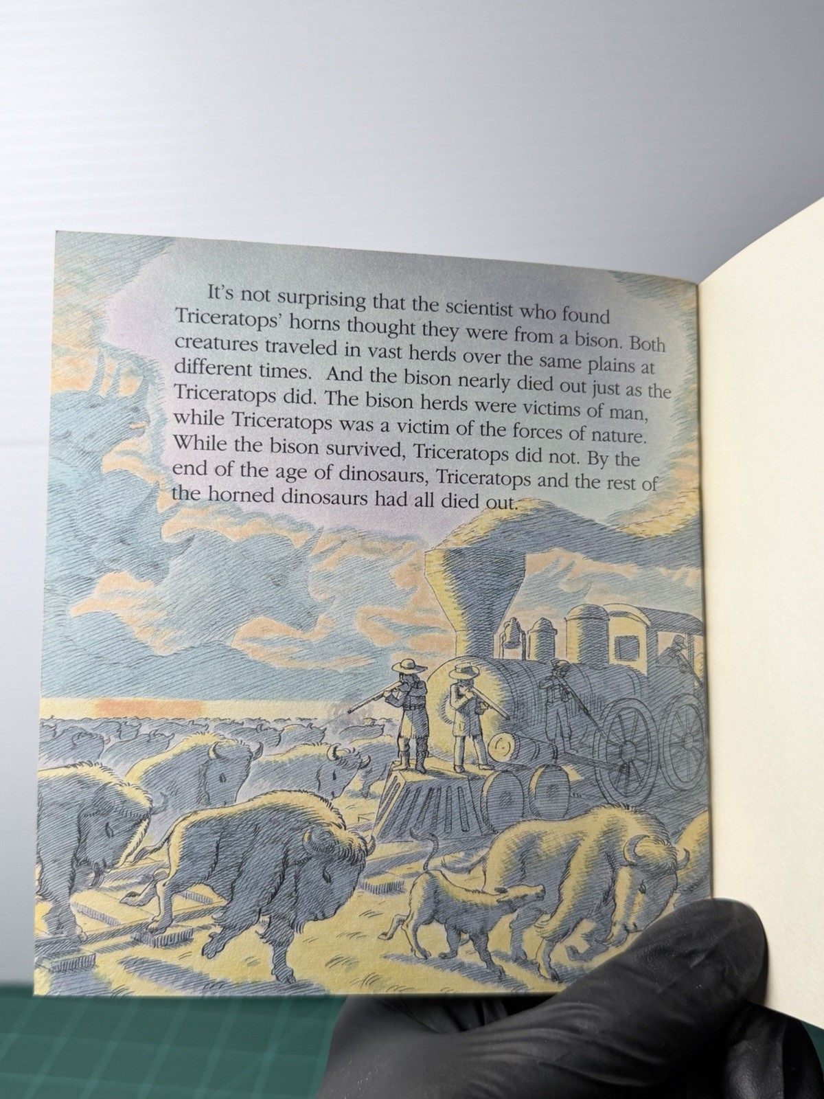 1989 Vintage The Horned Dinosaur by Michael Berenstein (Paperback)