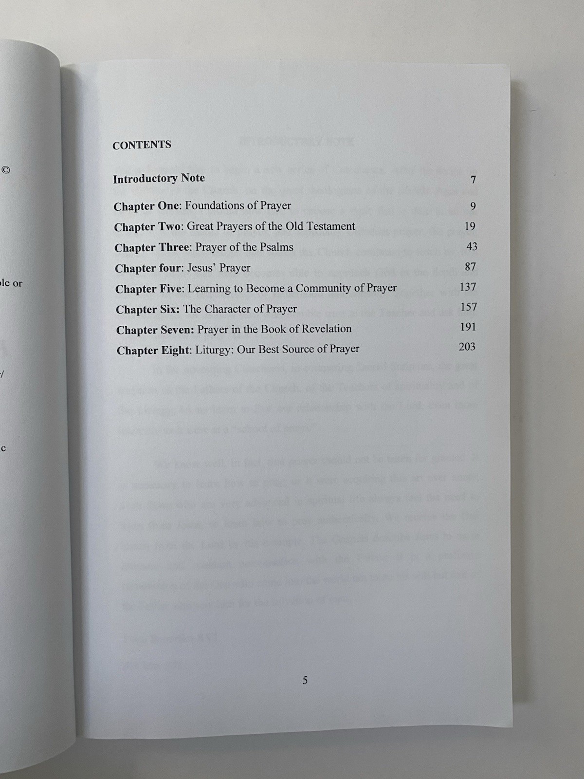 School of Prayer: General Audience Talks on Christian Prayer (2012, Paperback)