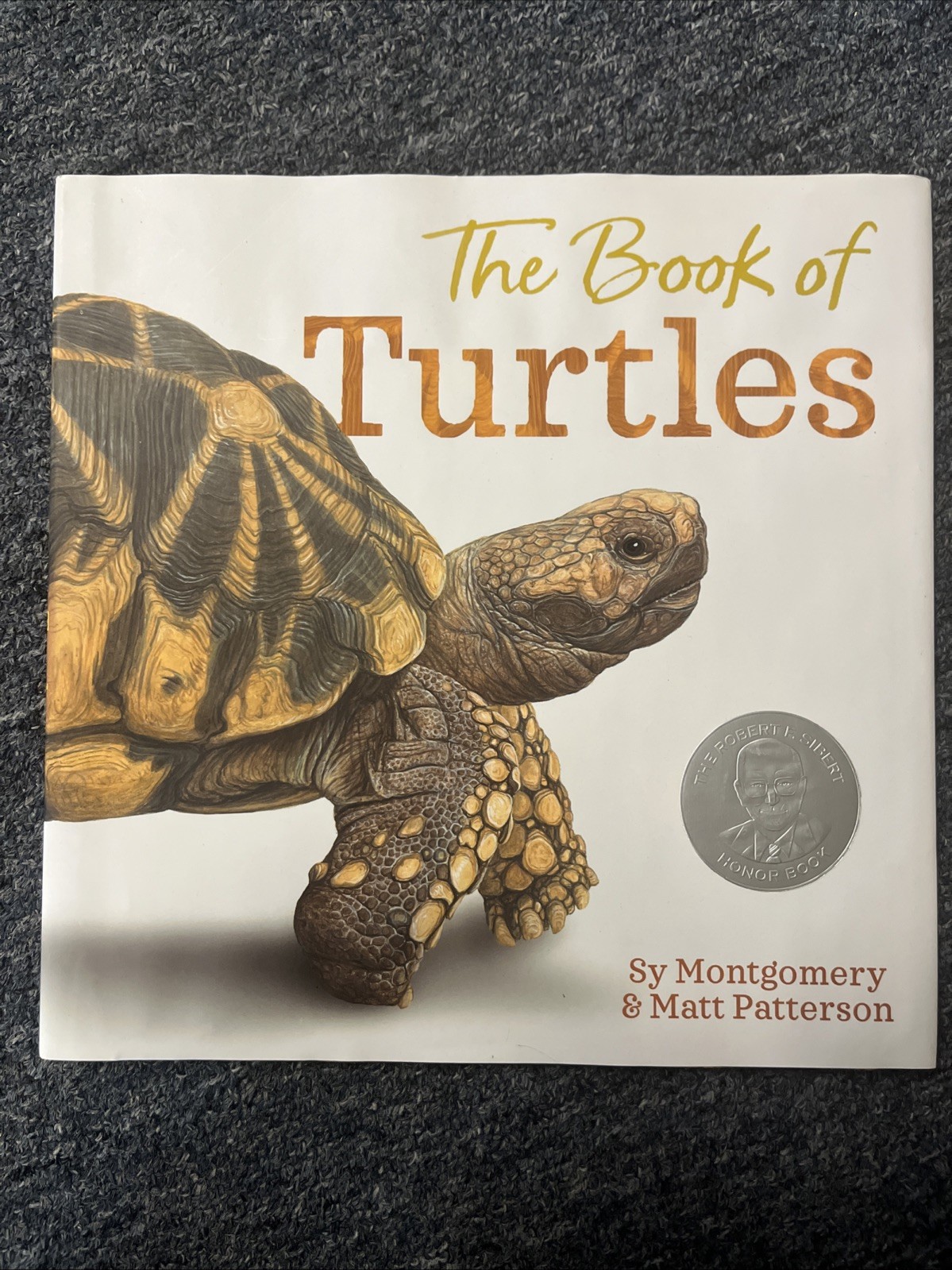 Book of Turtles by Sy Montgomery (2023, Hardcover)