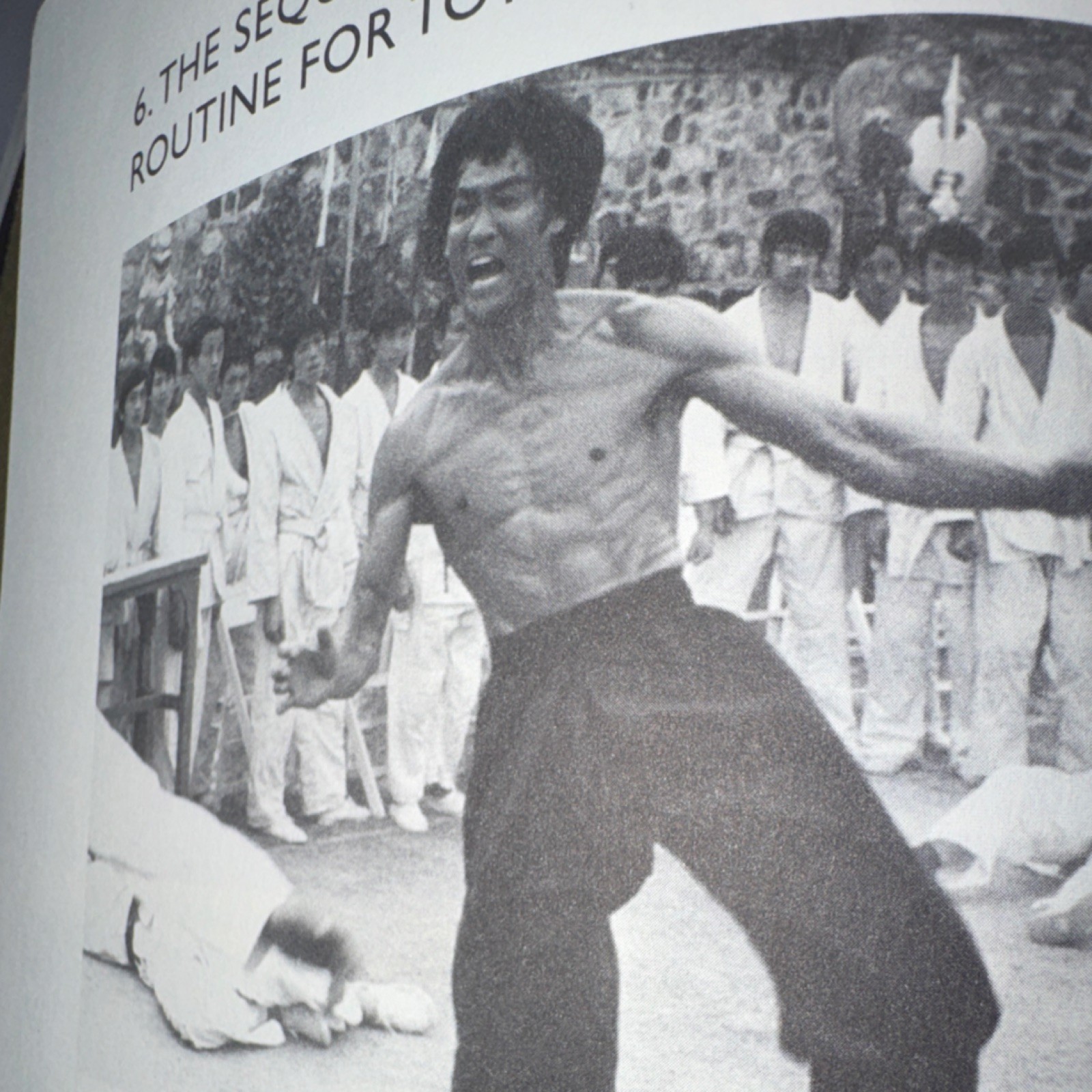 Bruce Lee The Art of Expressing the Human Body Bruce Lee Paperback Martial Arts
