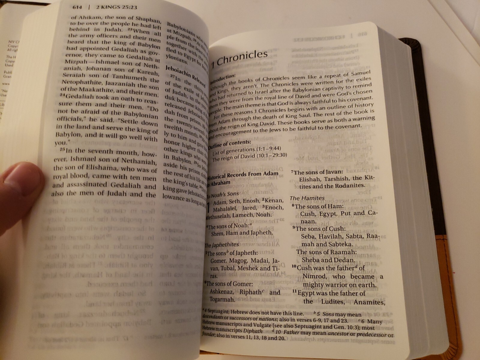 NIV LP Chocolate Amber Holy Bible Large Print