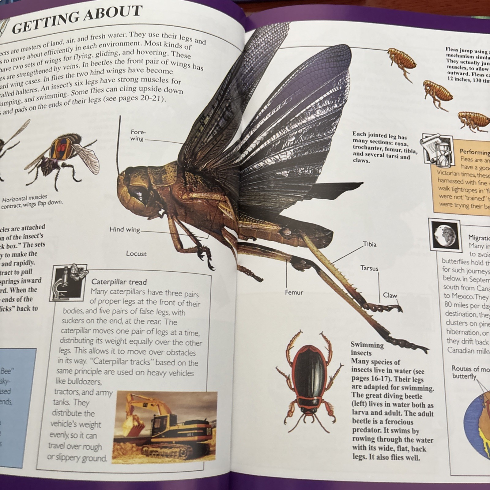 World of Wow, Set Of 4 Books, Body, Insects, Universe, Planets