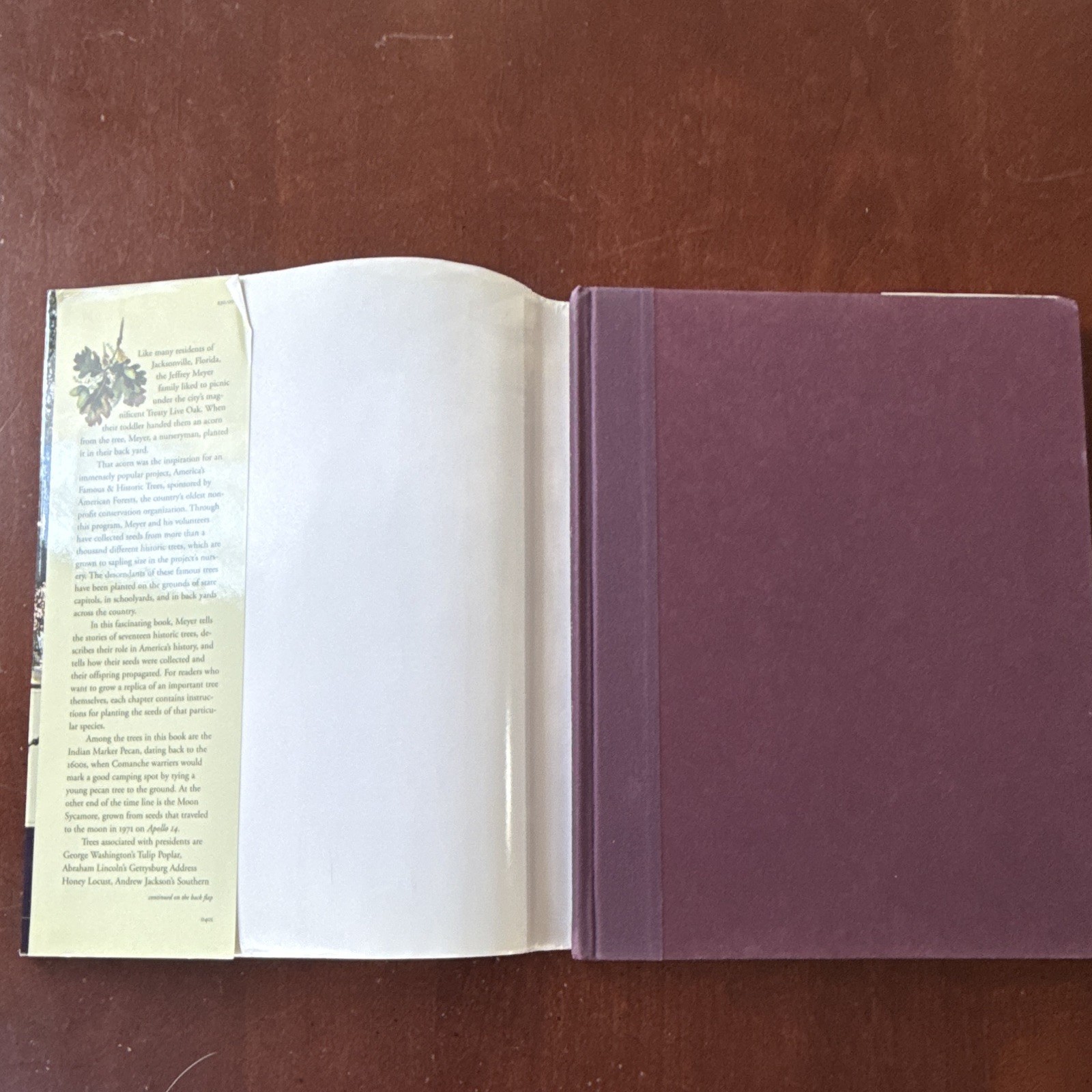 Meetings with Remarkable Trees, Thomas Pakenham PB Illustrated Random House