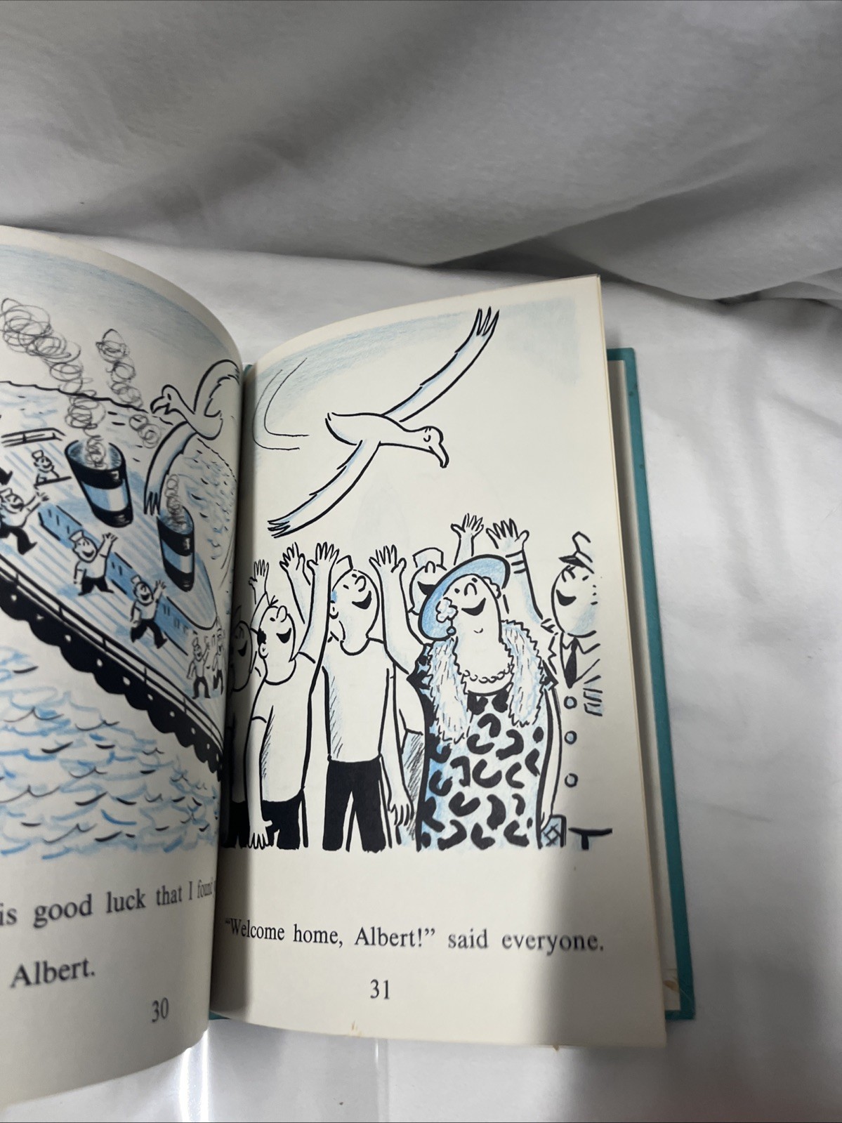 Albert the Albatross Story and pictures by Syd Hoff children’s book