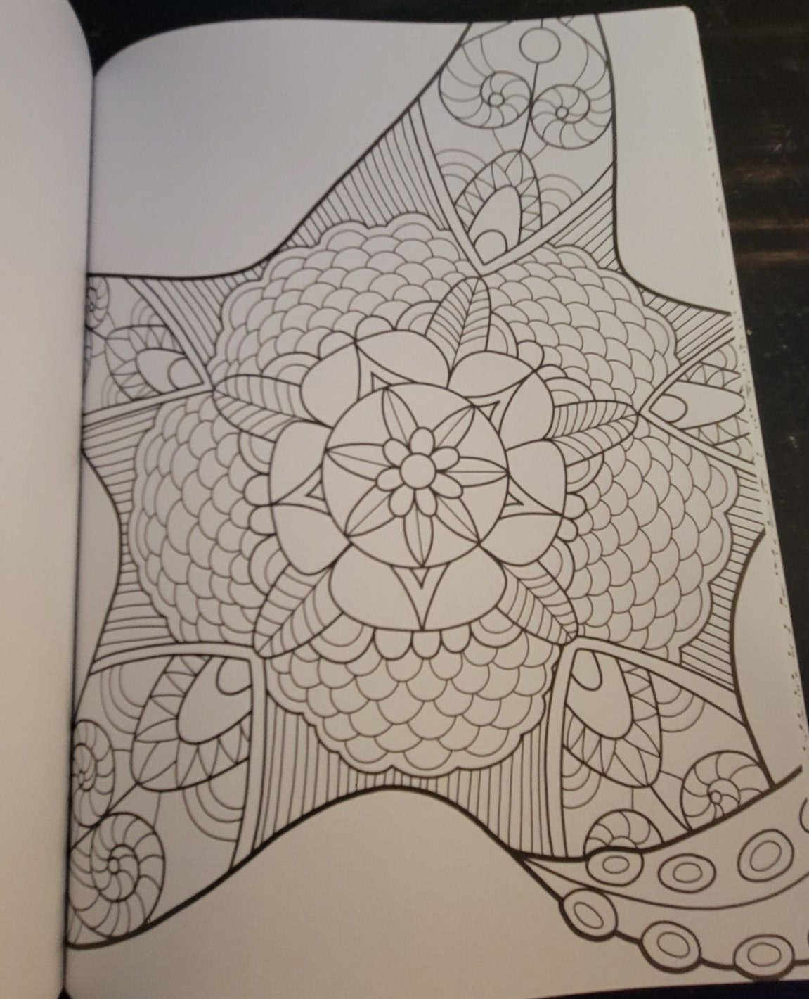 MAJESTIC CREATURES Vol 12 Adult Coloring Book With 47 Prints Ready To Frame