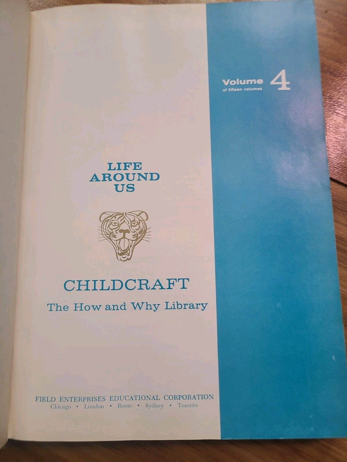 Vtg Childcraft Children’s Books Hardcover 1964 Books Missing 3 & 13. Rainbow