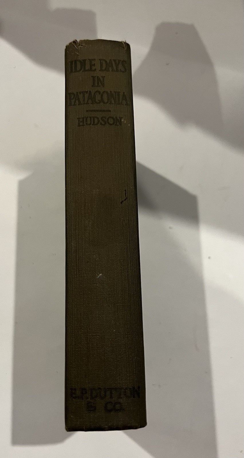 Idle Days in Patagonia W.H. Hudson 1917 hardcover book