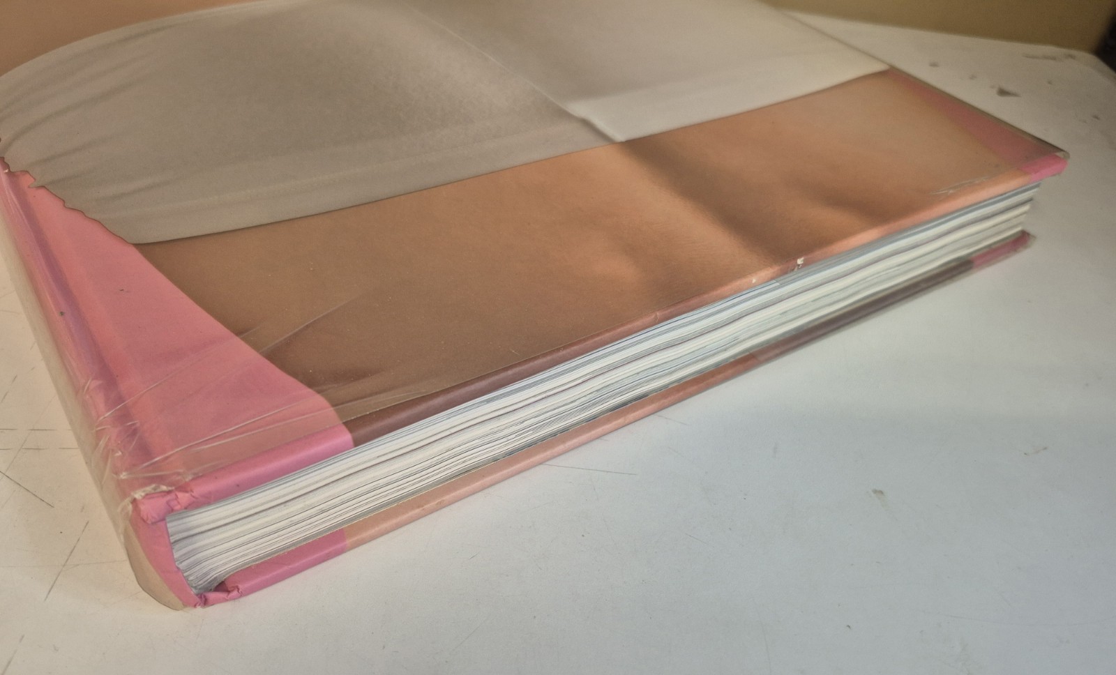 The Big Penis Book by Dian Hanson
