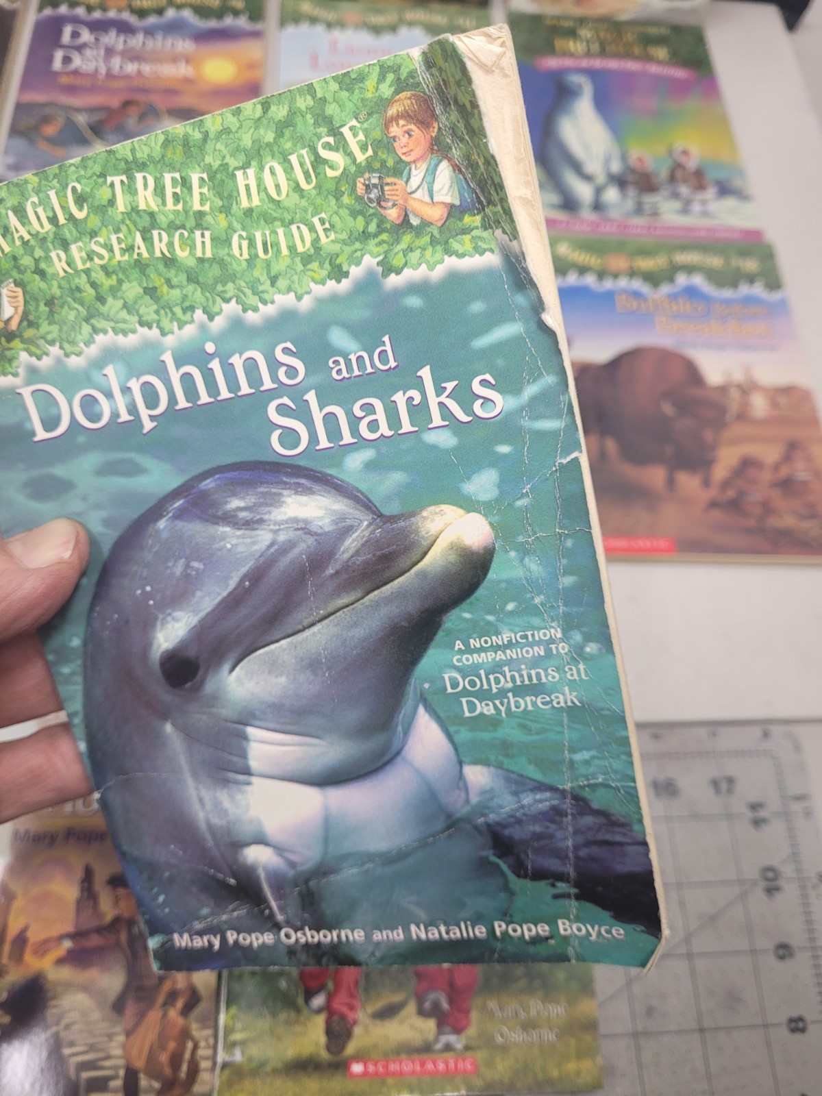 Magic Tree House Paperback Lot of 16 #1,2,3,6,8,9,11,12,13,15,17,18,23,24,48 +