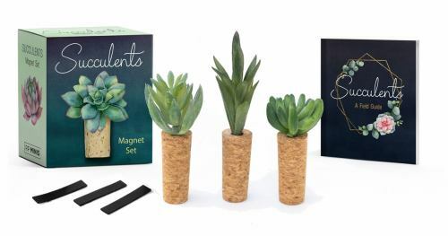 Succulents Magnet Set (RP Minis) by