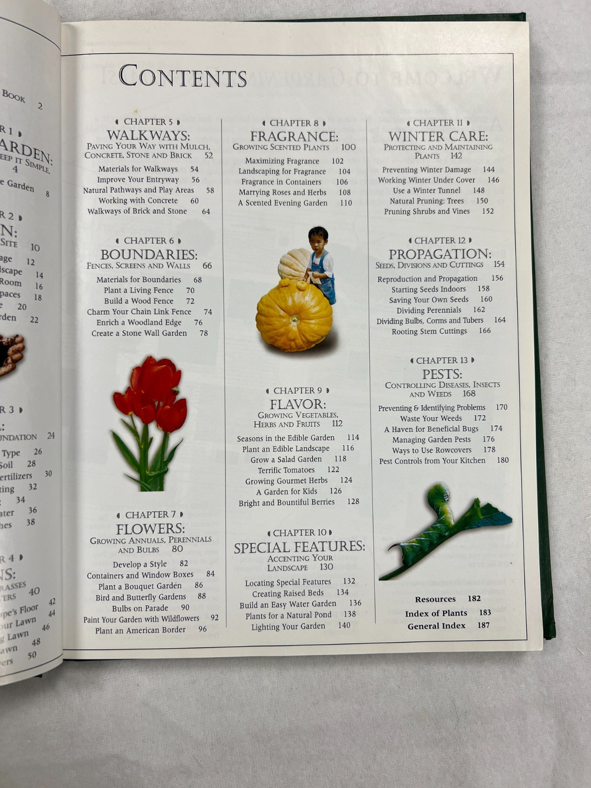 Gardening Essentials- Perennials (HB) &Bonsai & Orchids (PB)