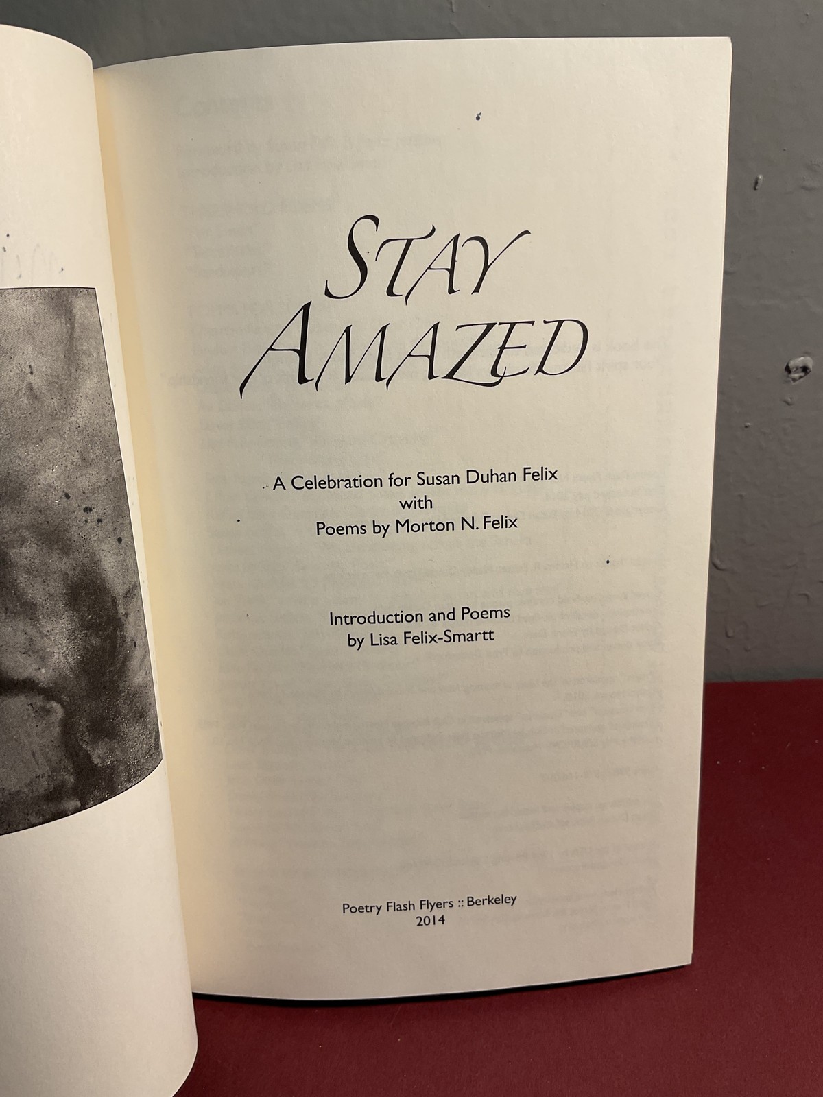 Stay Amazed Poetry Anthology Signed Inscribed Morton N. Felix Lisa Felix-Smartt