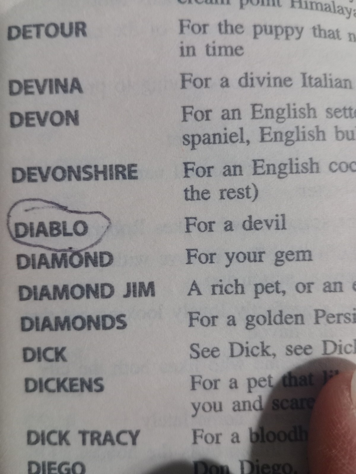 1995 Schoolastic “Don’t Call Me Rover: 5001 Names For Your Pet