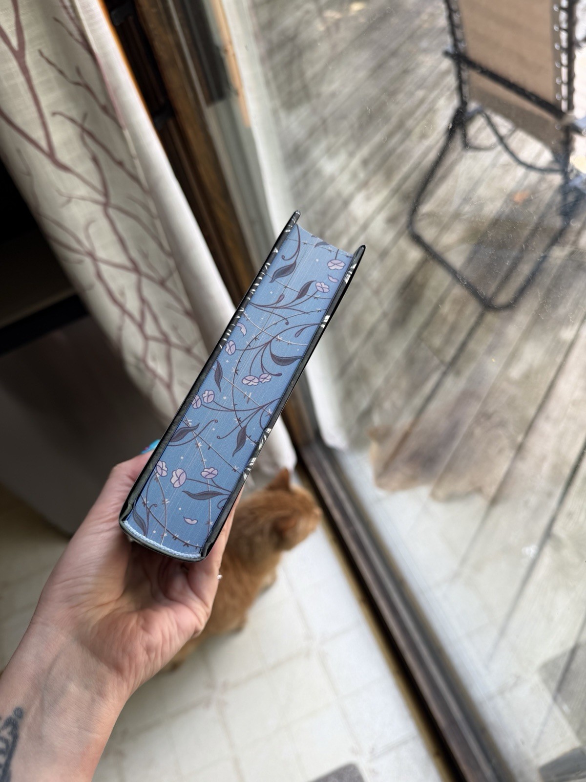 To Cage A Wild Bird By Brooke Fast Fairyloot Edition Signed