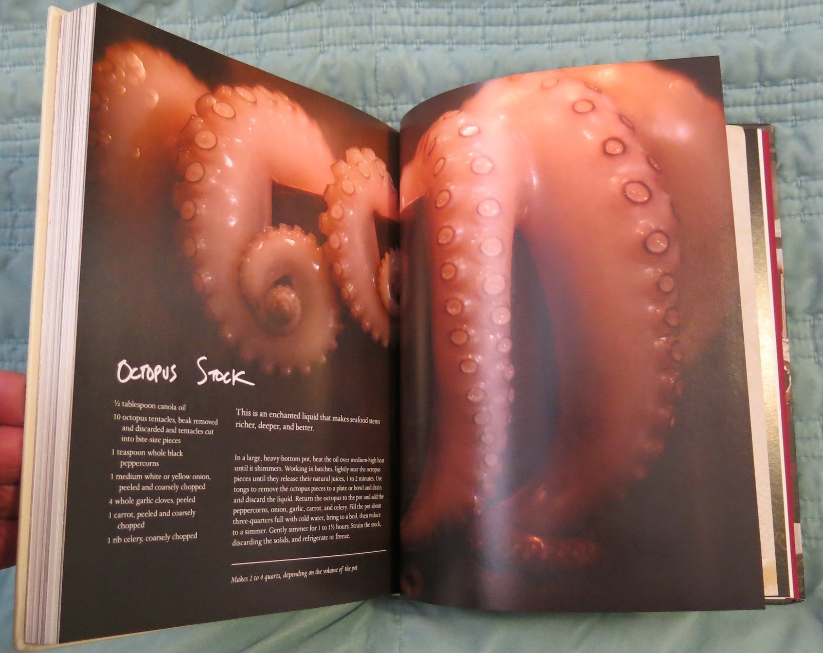 Appetites A Cookbook by Anthony Bourdain – Ralph Steadman – 1st edition HB