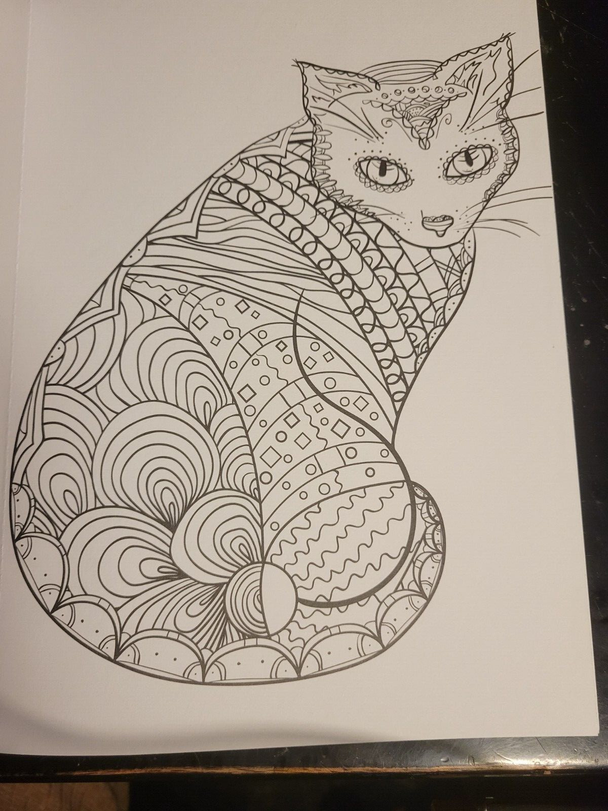 MAJESTIC CREATURES Vol 13 Adult Coloring Book With 47 Prints Ready To Frame