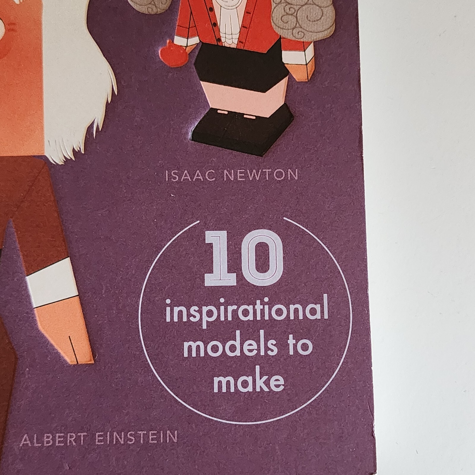 Role Models: Super Scientists Who Stunned the World (Hardcover) Home School
