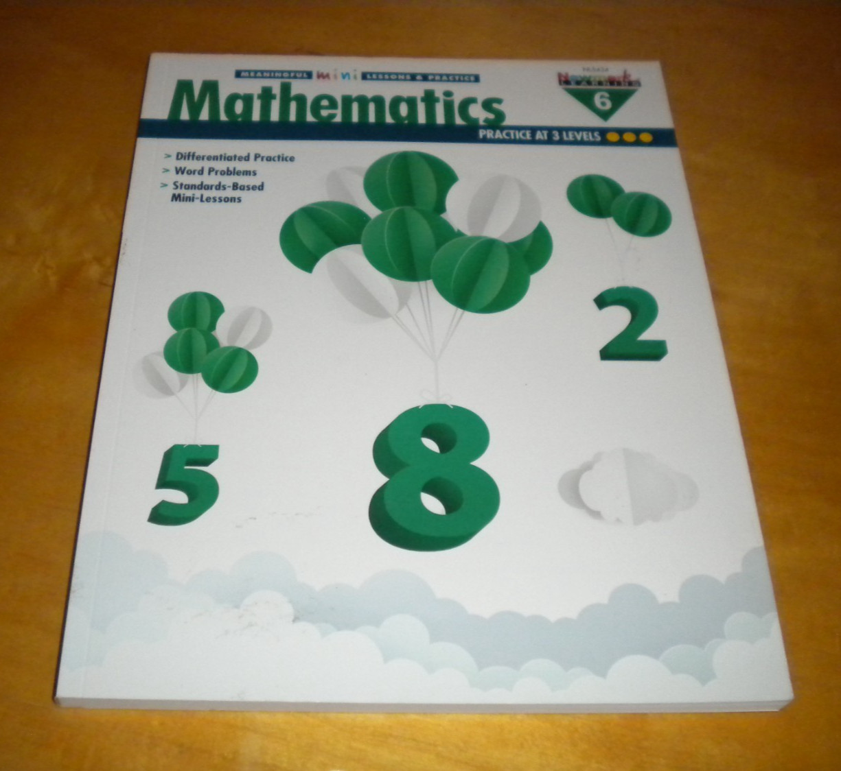 ^Mathematics Newmark Meaningful Mini-Lessons & Practice 3 Learning 6 NL5434