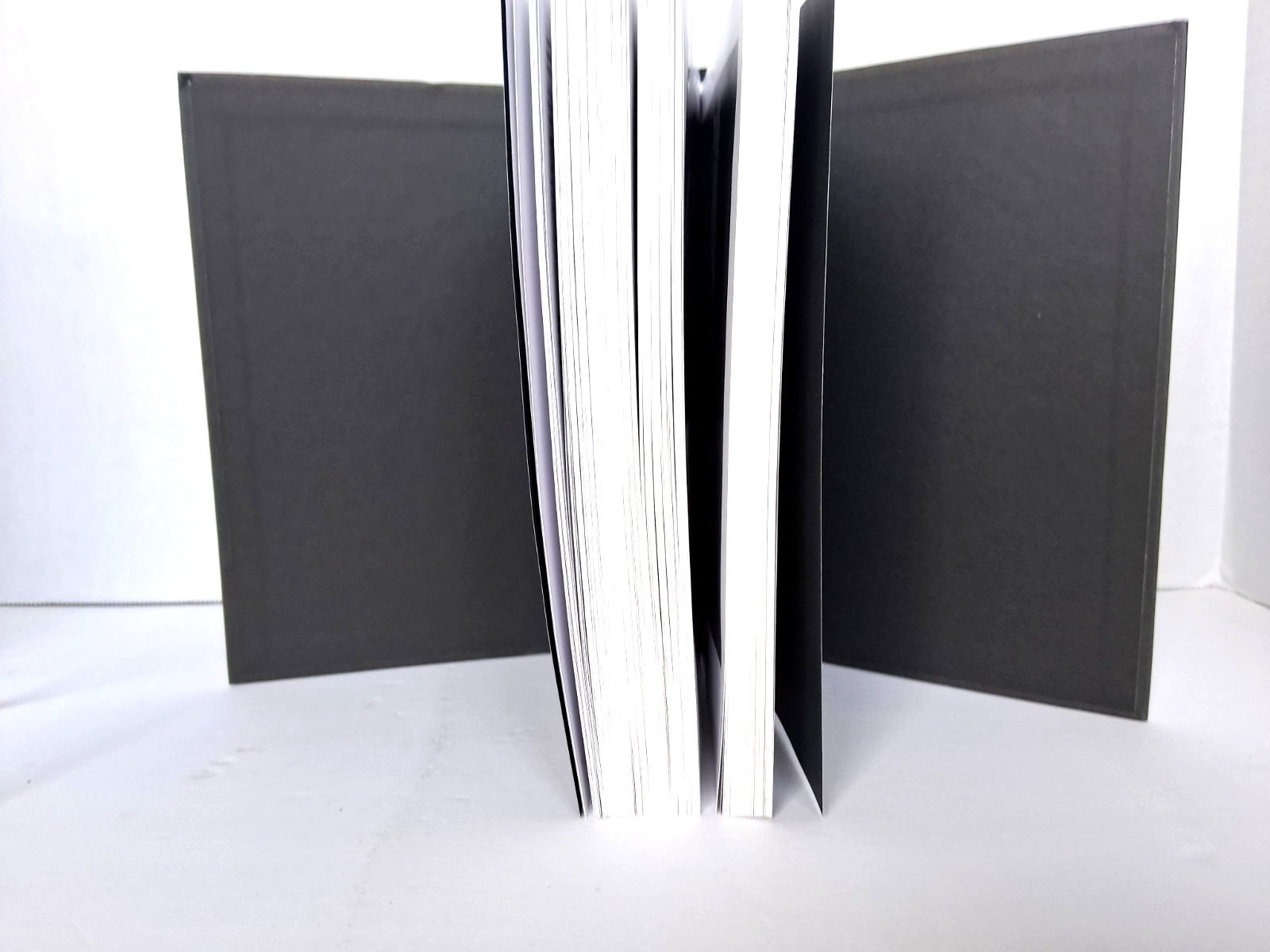 “The History of Photography From 1839 to Present” (Illustrated HC & DJ)