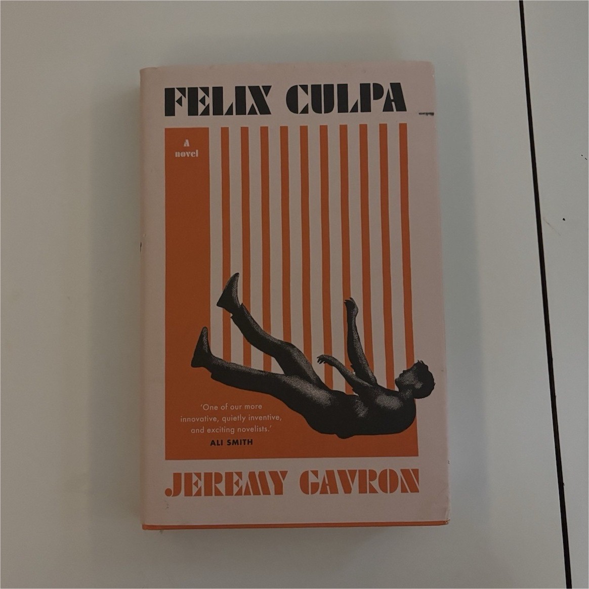 Jeremy Gavron Hardcover Novel Felix Culpa, Scribe Publications, Fiction