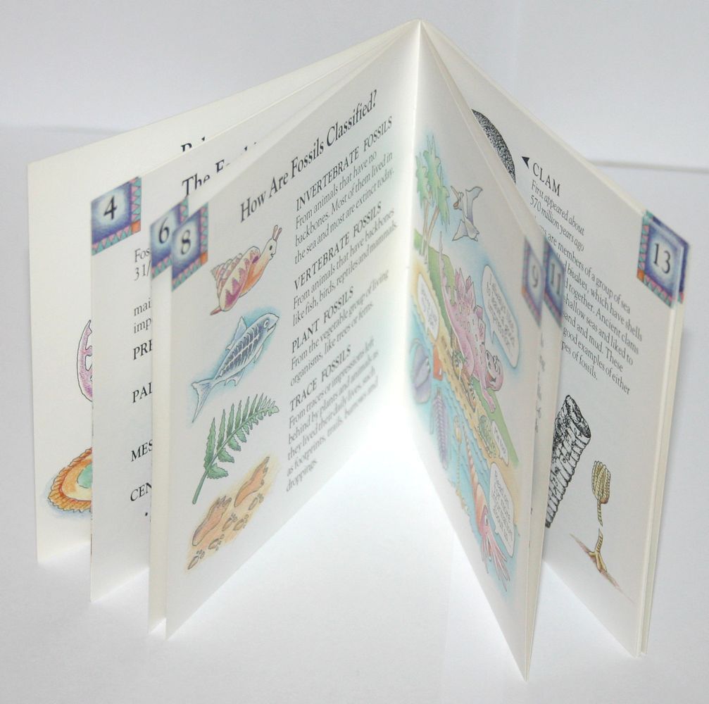 Dig into Fossils Kids Science Booklet Guide Dinosaurs Paleontology GeoCentral