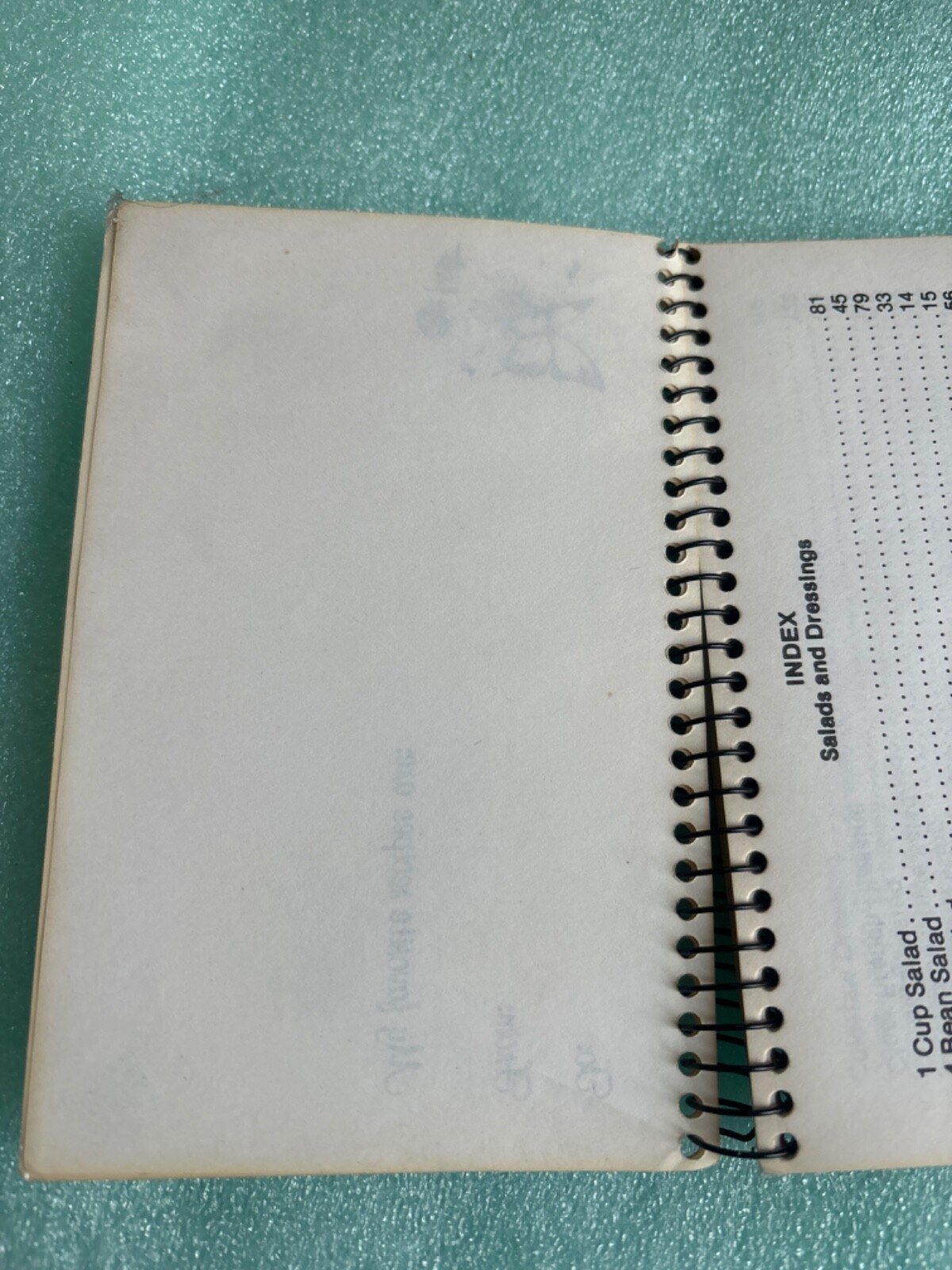 SALAD AND DRESSINGS RECIPE BOOK~POCKET BOOK 5.5×4”~147 RECIPES,147 PAGES