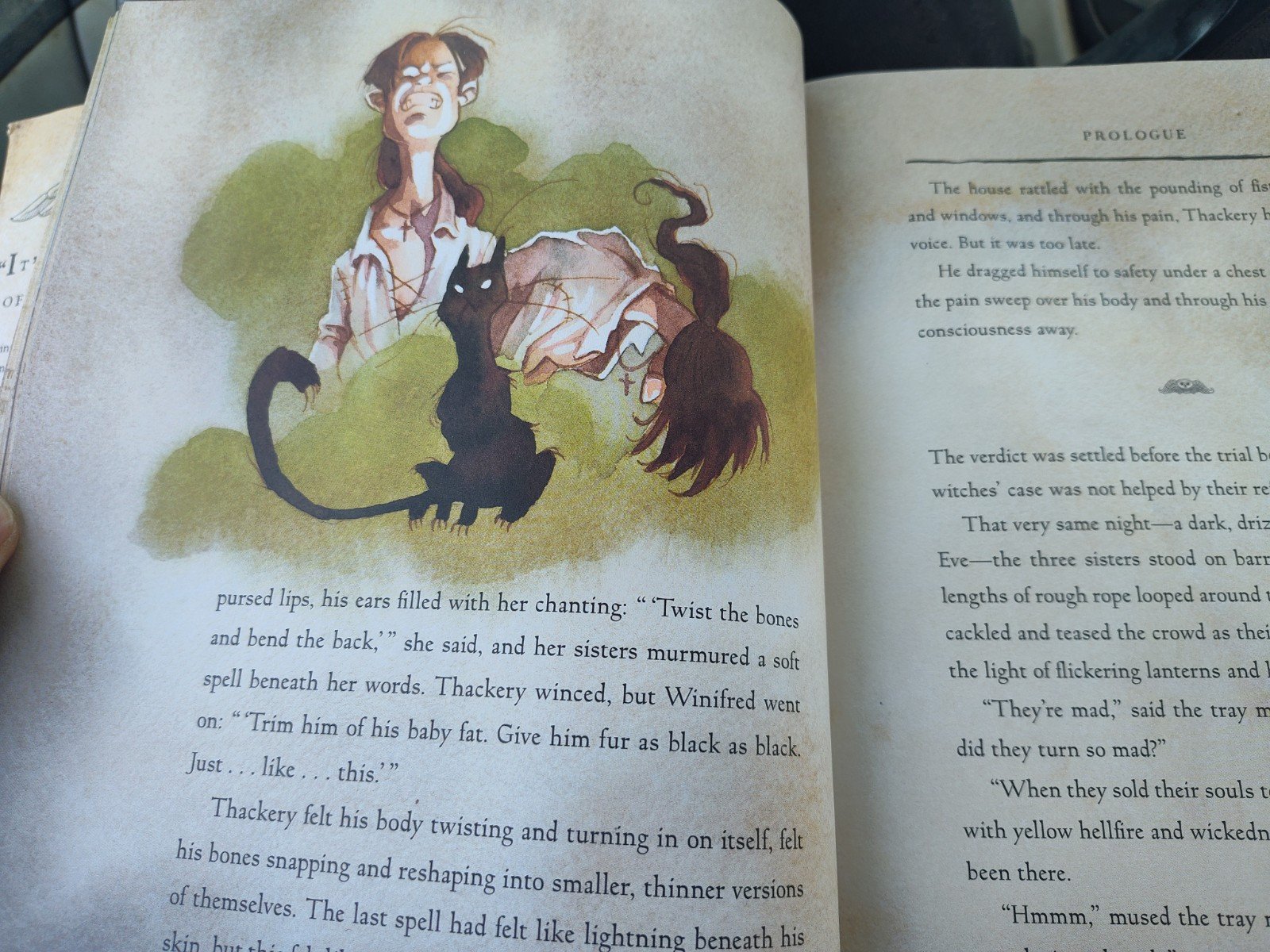 Hocus Pocus: The Illustrated Novelization, Gris Grimly Jantha, A W Hardbound