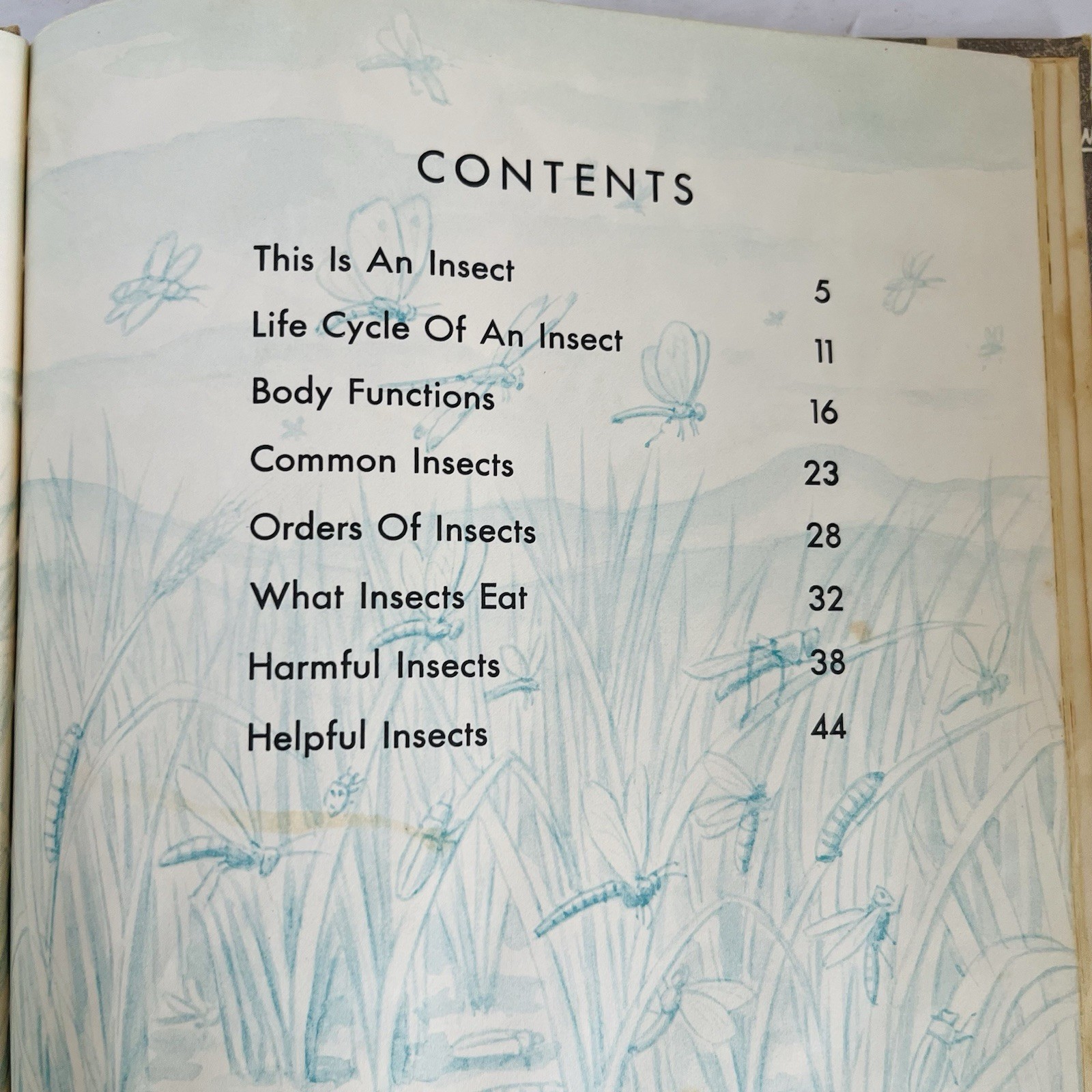 What is An Insect Charles D Neal 1961 Vintage Childrens Science Book Homeschool