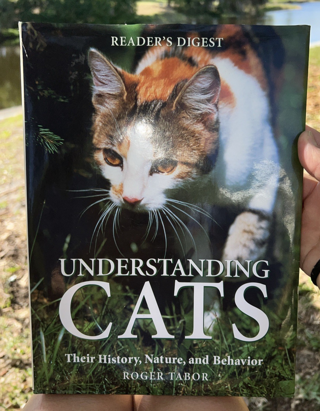 Understanding Cats: Their History, Nature, and Behavior by Tabor, Roger HB DJ