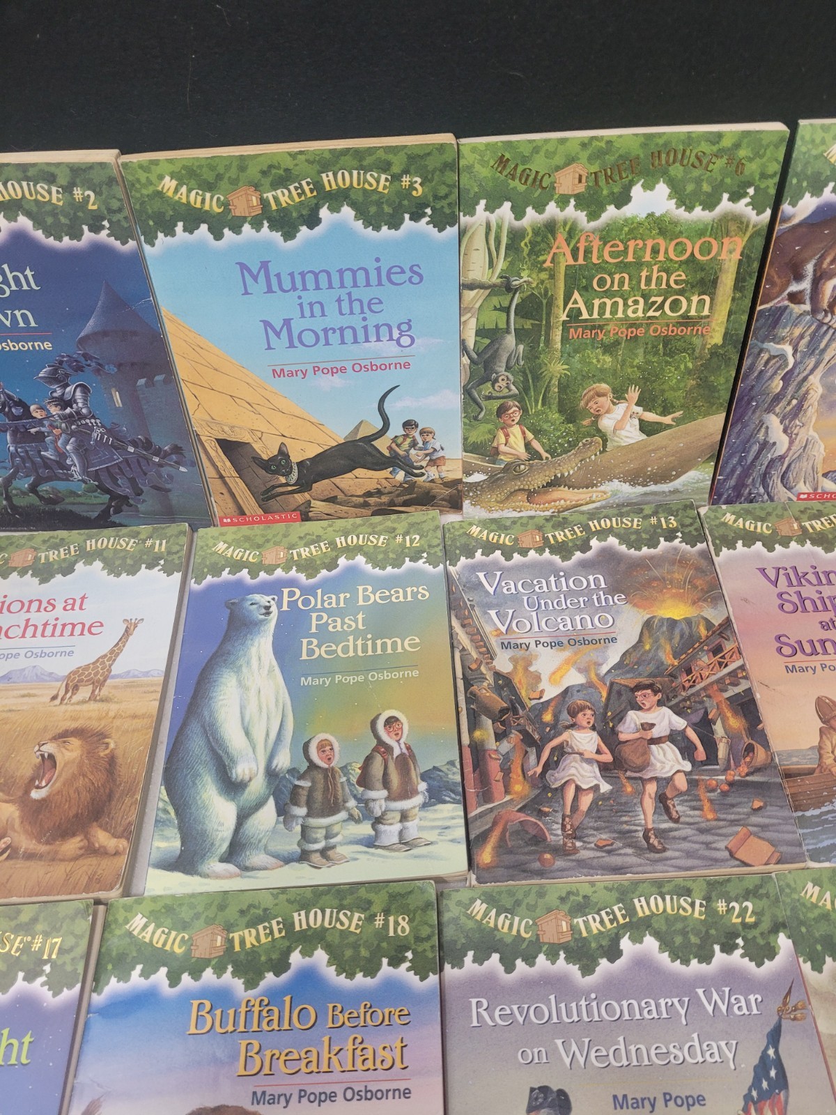 Magic Tree House Paperback Lot of 23 (Various One Duplicate) See Description!