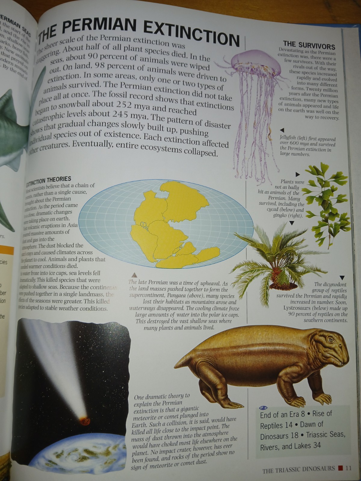 Dinosaurs Undercover – Triassic Dinosaurs Rupert Matthews