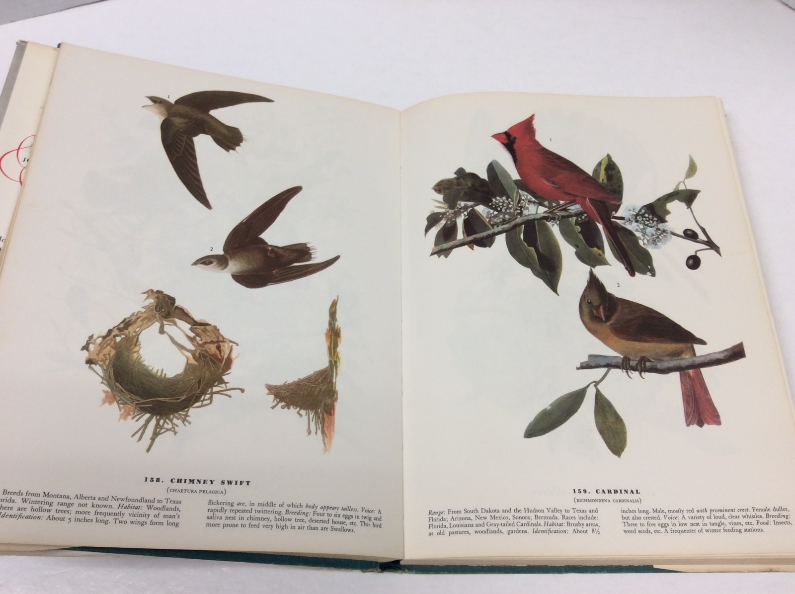 THE BIRDS OF AMERICA John James Audubon Illustrated HC 1967