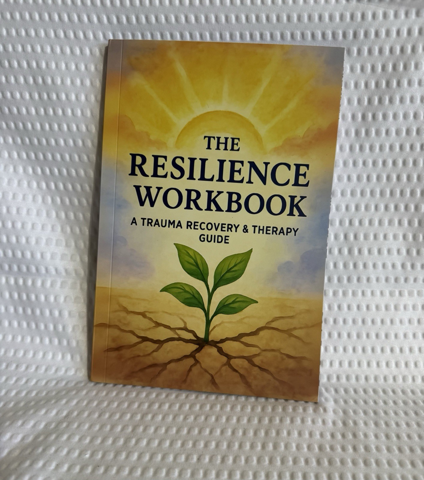 The Resilience Workbook A Trauma Recovery And Therapy Guide 132 Pages