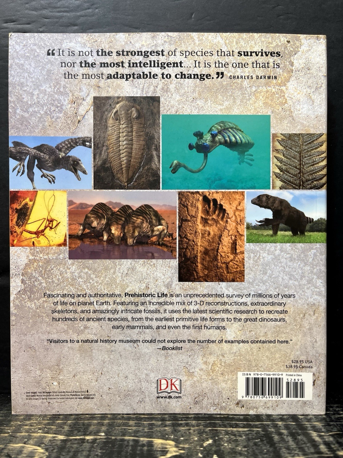 Prehistoric Life Difinitive Visual History Life Earth 2012 Sftcvr Like New B2