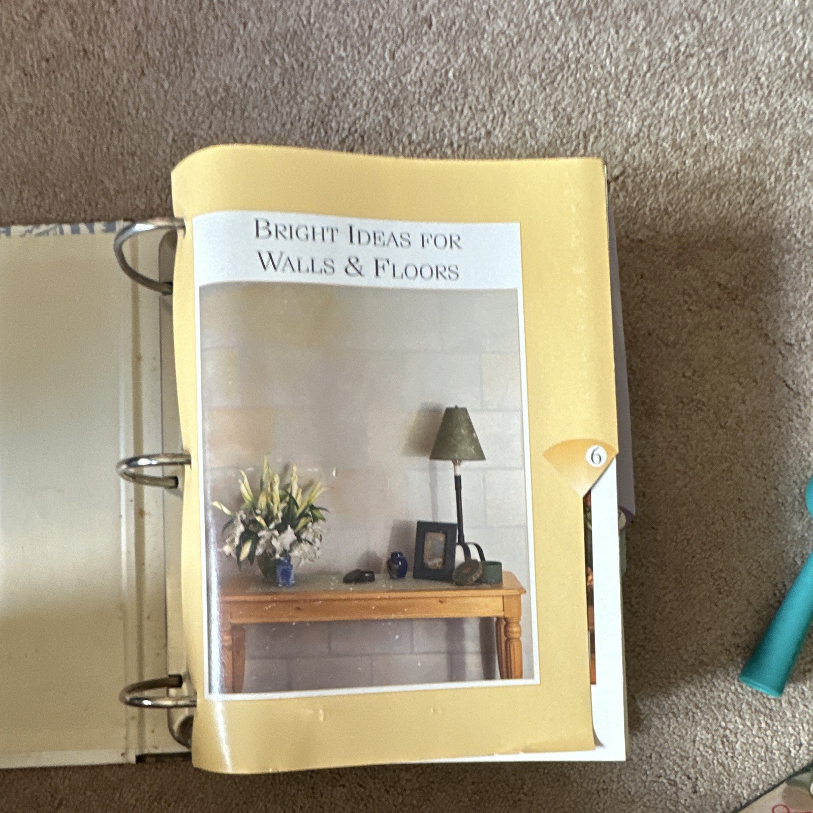 CREATIVE HOMEOWNER CREATIVE HOME DECORATING HC ILLUSTRATED RING/WIRE BOUND