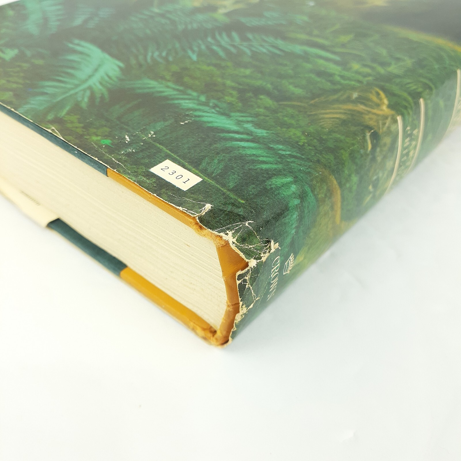 Clan Of The Cave Bear Jean M Auel Earths Children Book 1 Hardcover 1980