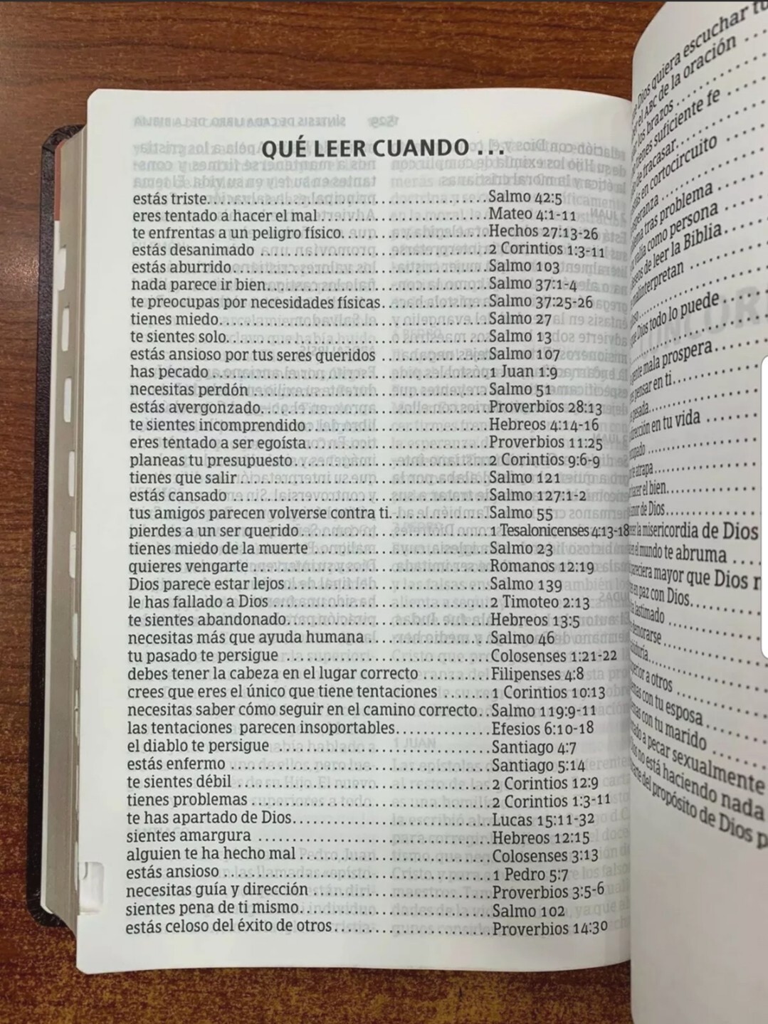 RVR 1960 Biblia Letra Gigante con Referencias, Borgoña Imitación Piel Con índice