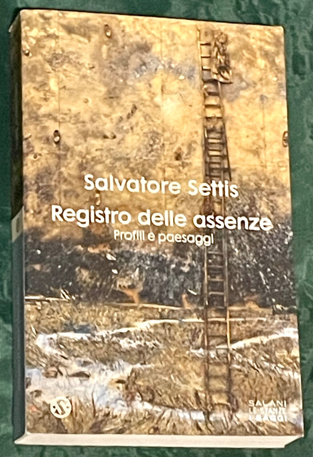 Registro Delle Assenze: Profili E Paesaggi by Salvatore Settis (Italian Edition)