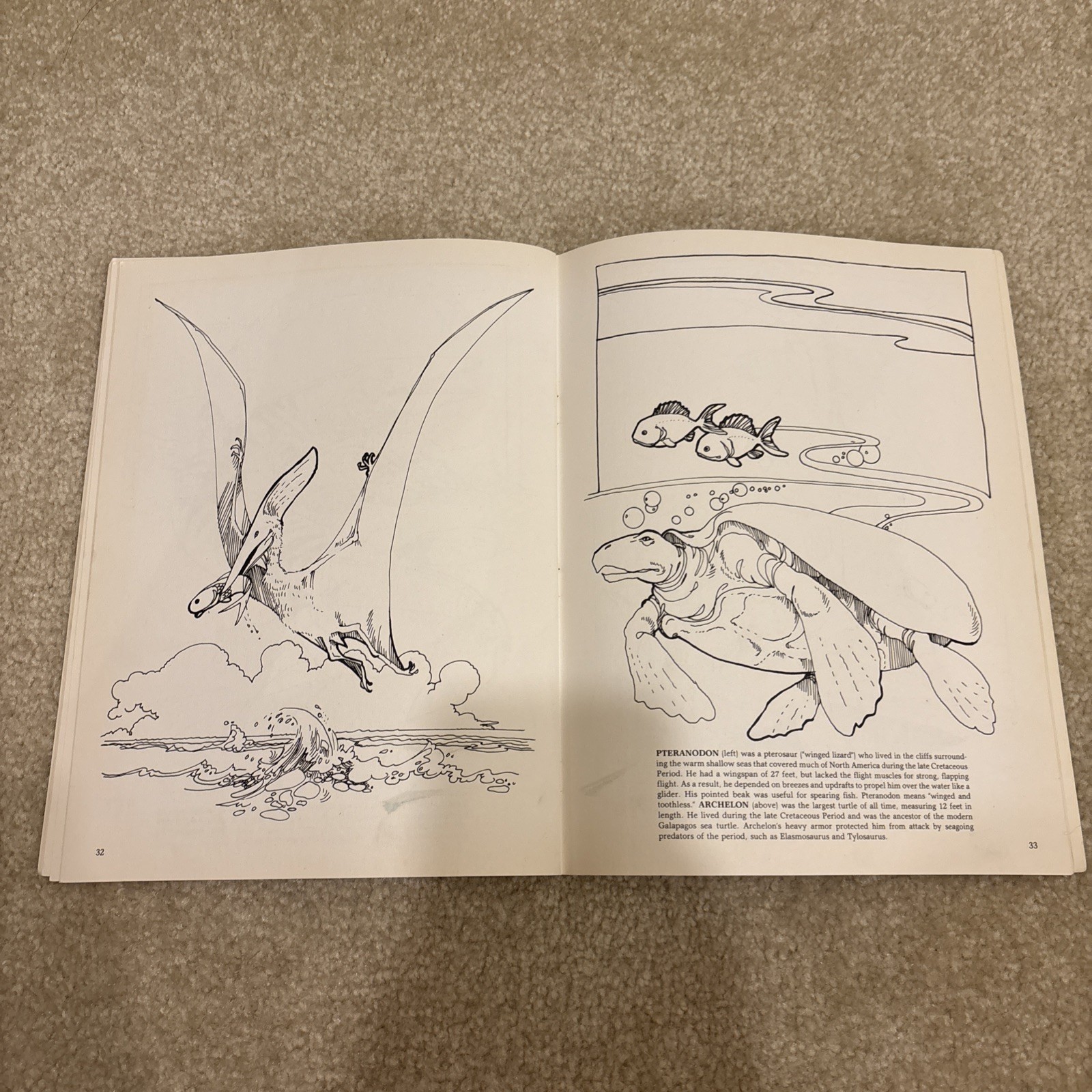 The Dinosaur Dover Coloring Book Paperback Anthony Rao Vintage 1980