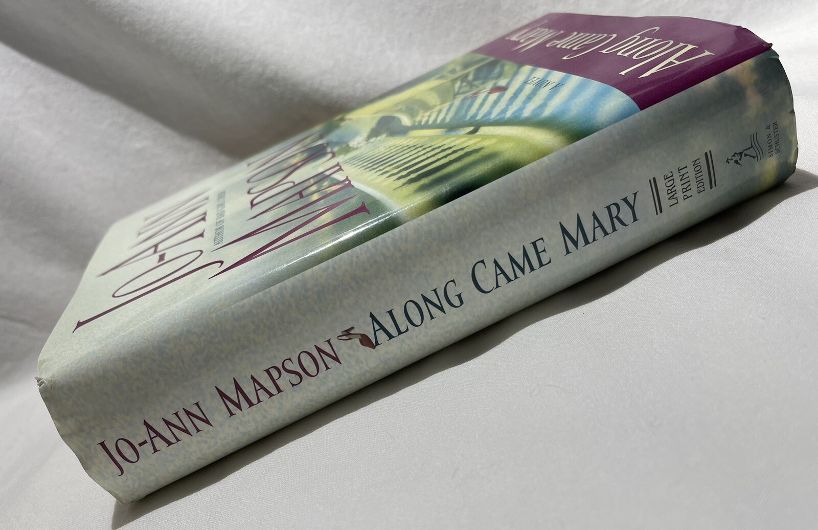 Along Came Mary a Novel By Jo-Ann Mapson Large Print 2003 Unabridged Dust Jacket