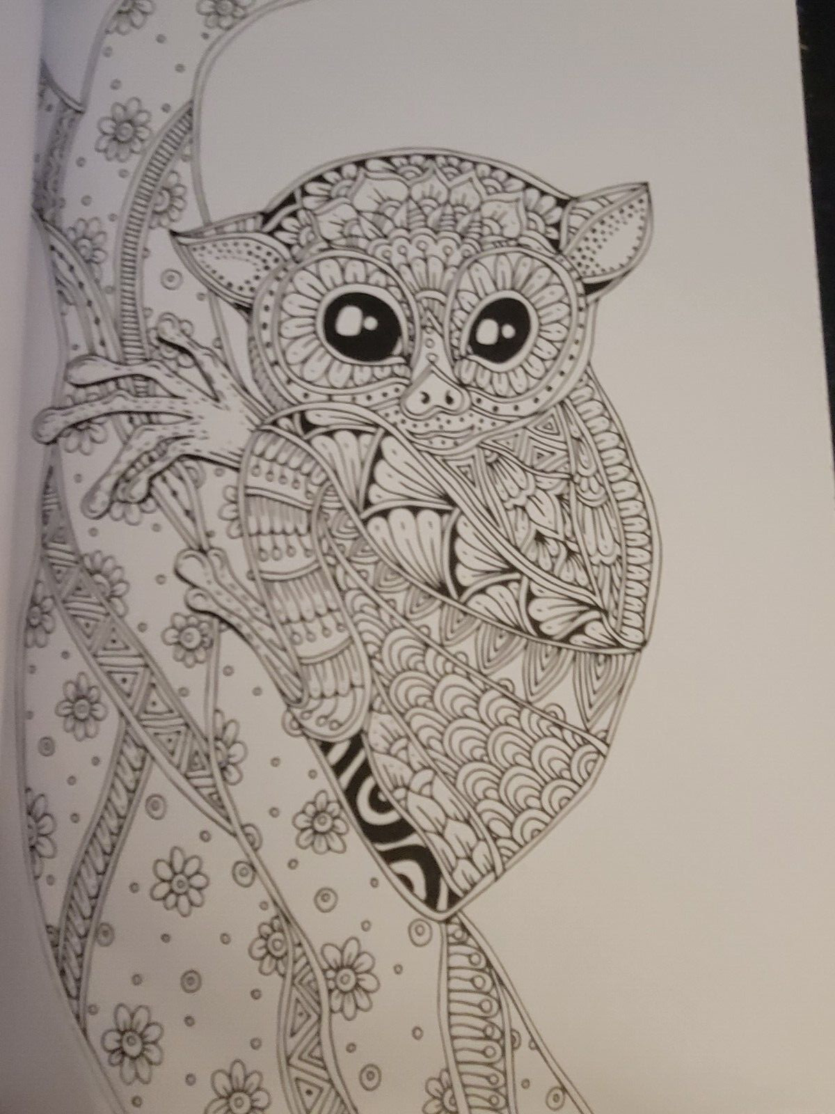 MAJESTIC CREATURES Vol. 18 Adult Coloring Book With 47 Prints Ready To Frame!