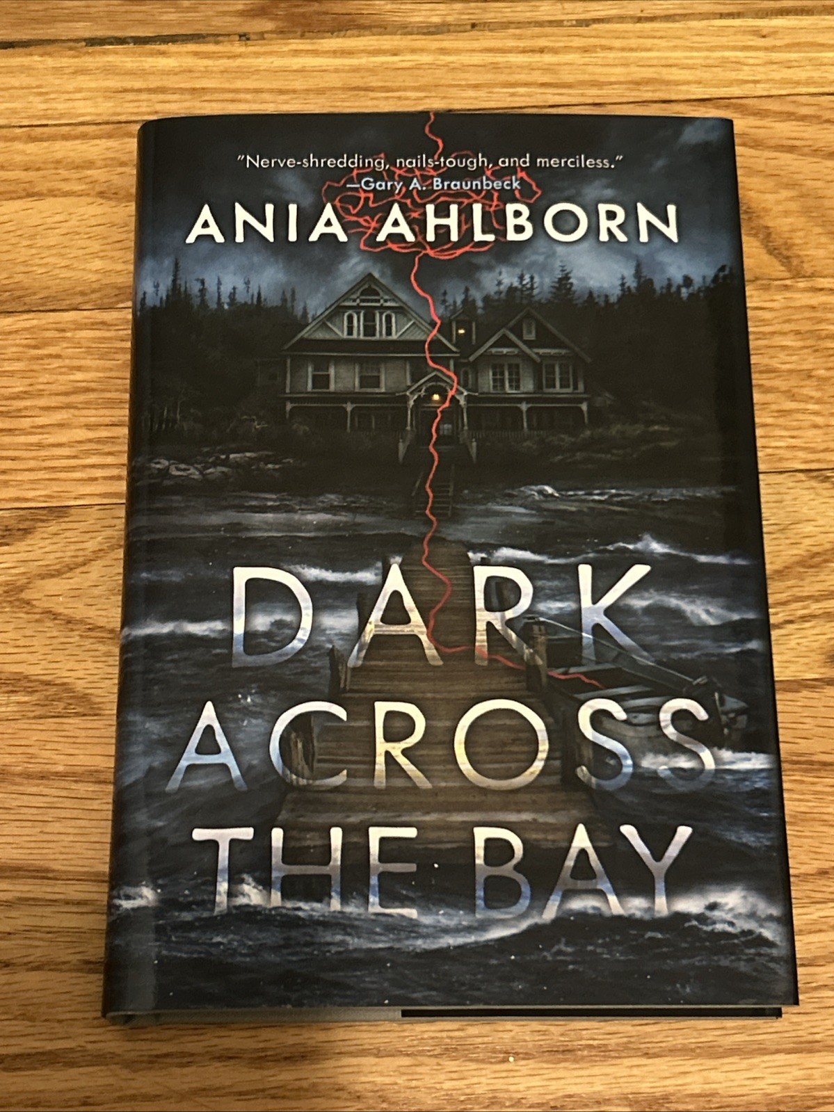 EARTHLING Dark Across The Bay by ANIA AHLBORN Signed X2 Josh Malerman #’d New