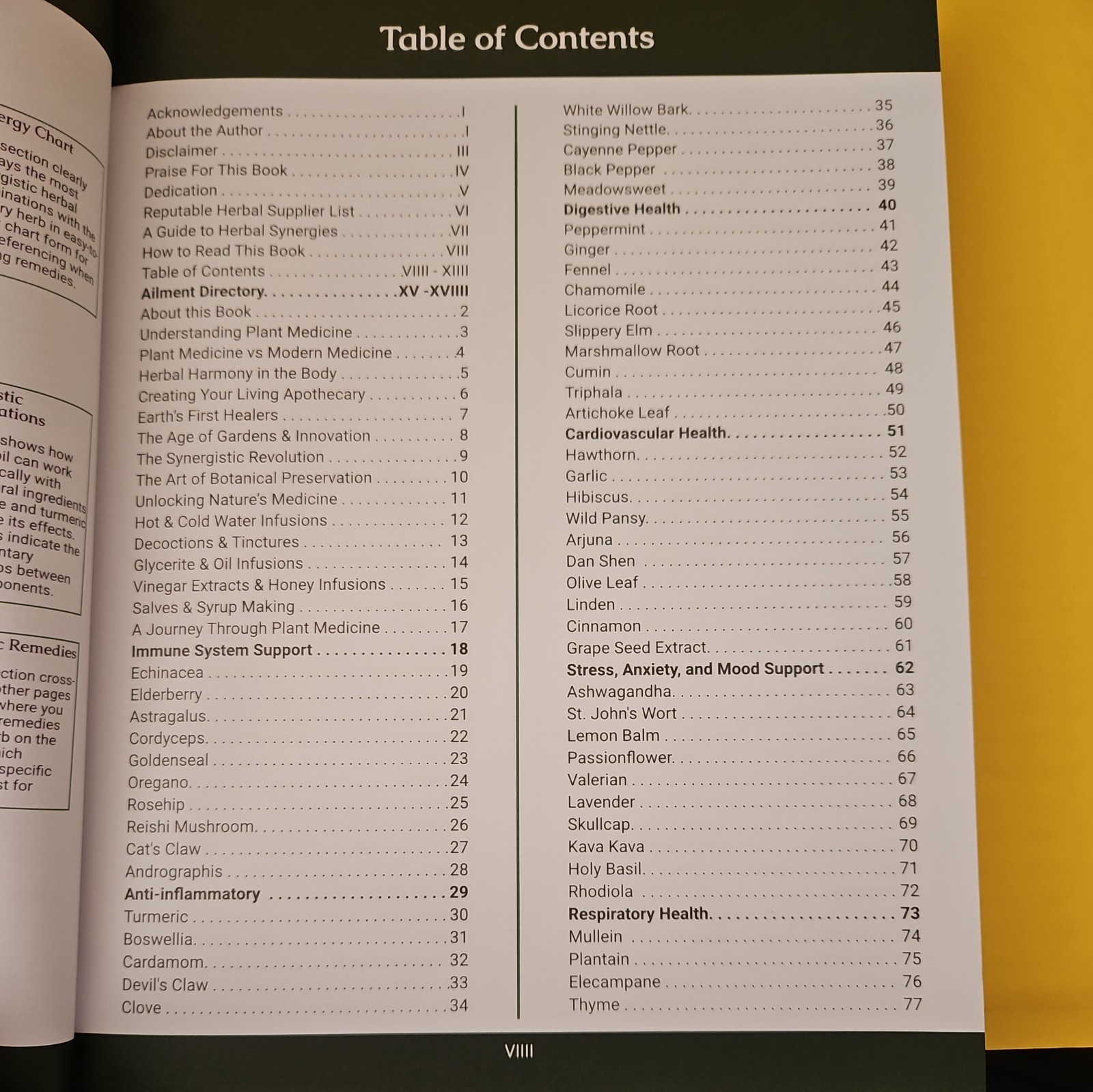 Herbal Synergies: A Guide To Healing Common And Chronic Ailments