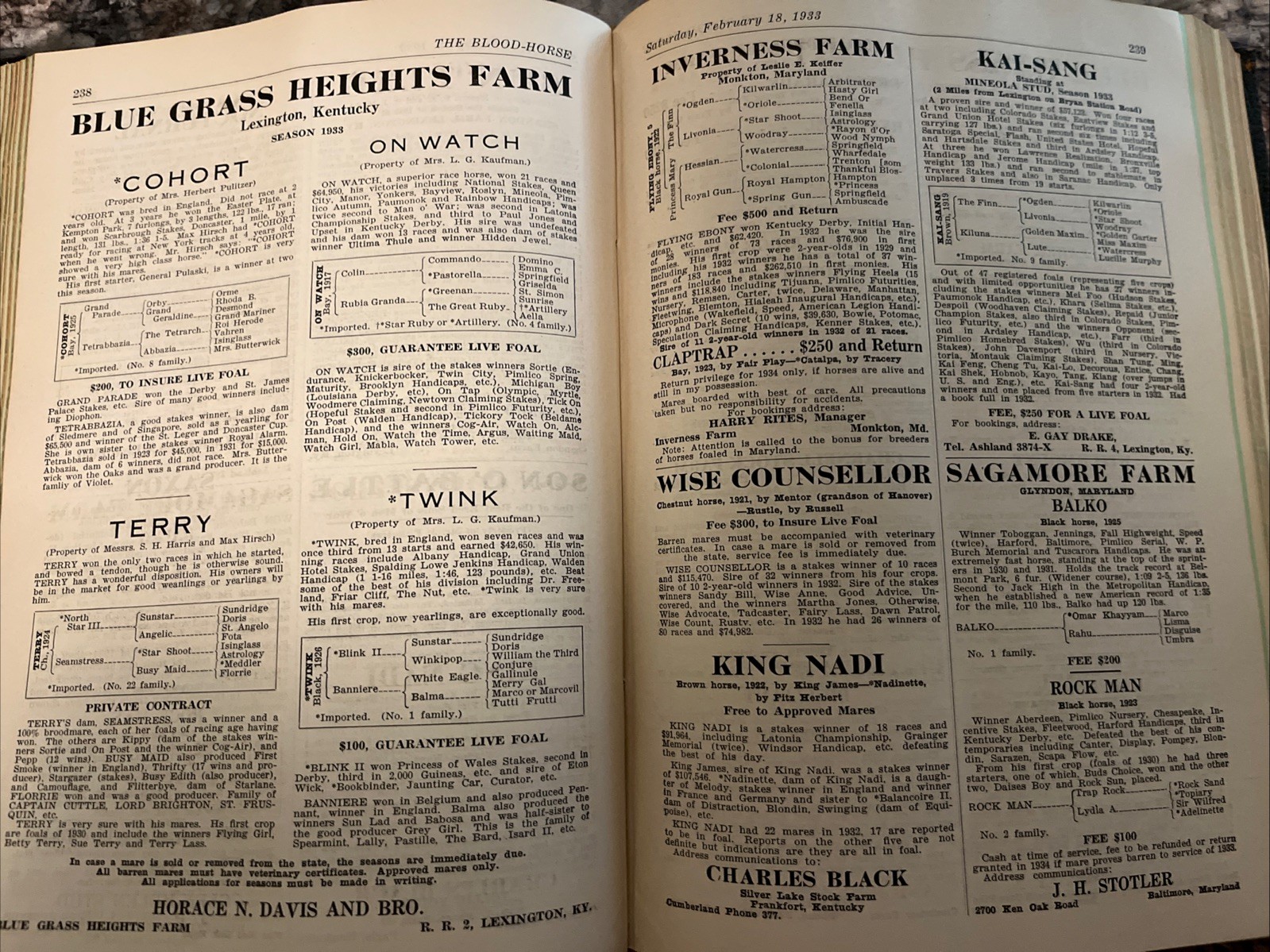 The Blood-Horse Weekly Journal 1933 Vol. 19 Thomas B. Cromwell Lexington, Ky
