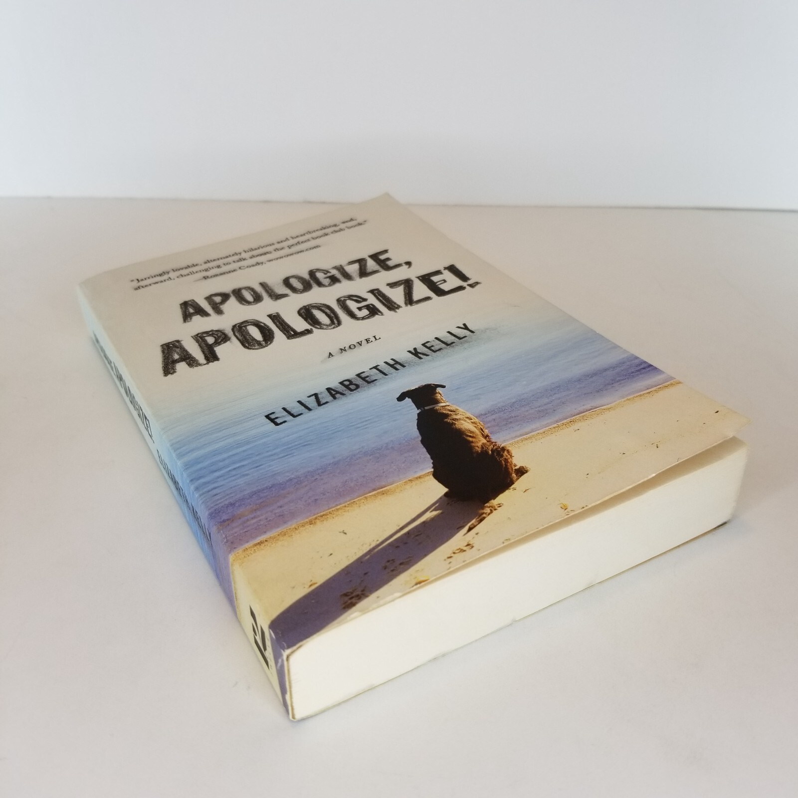 Apologize, Apologize! A Novel by Elizabeth Kelly Paperback Book.